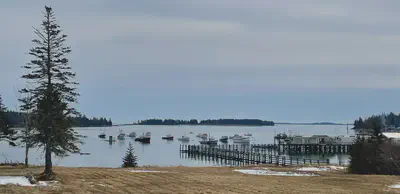 Coastal Maine scene in winter with field, pier, and lobster boats
